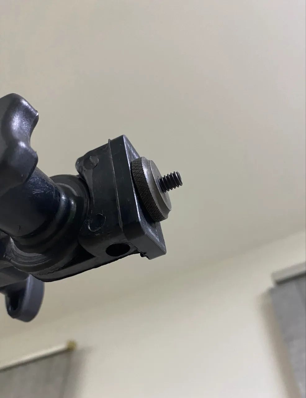 Foto e vídeo - girafa 