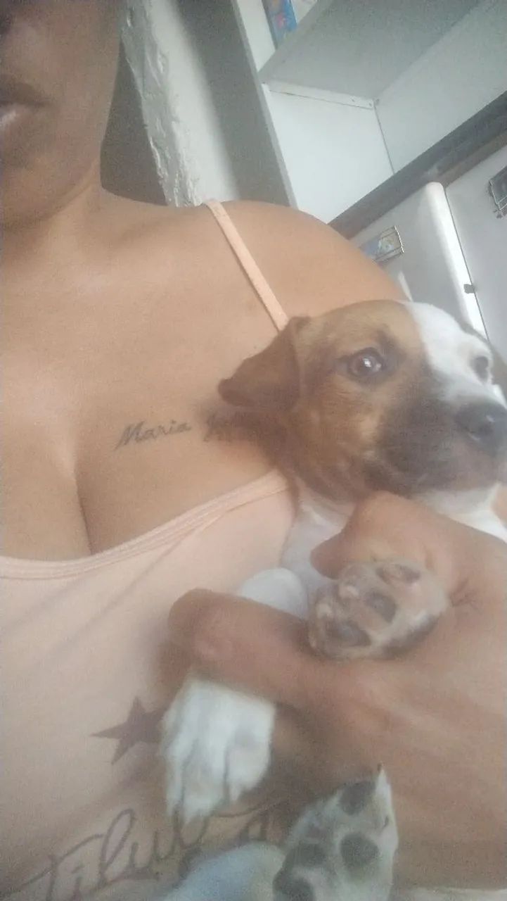 Doação 