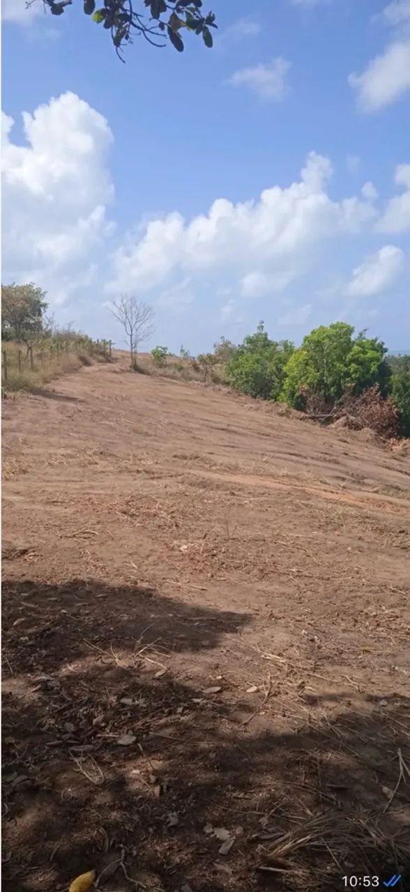 Terreno a venda São Miguel dos milagres 