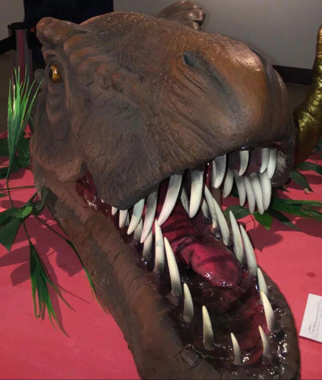 Tiranossauro Rex - Jurassic Park - estátua cabeça  - Foto 2