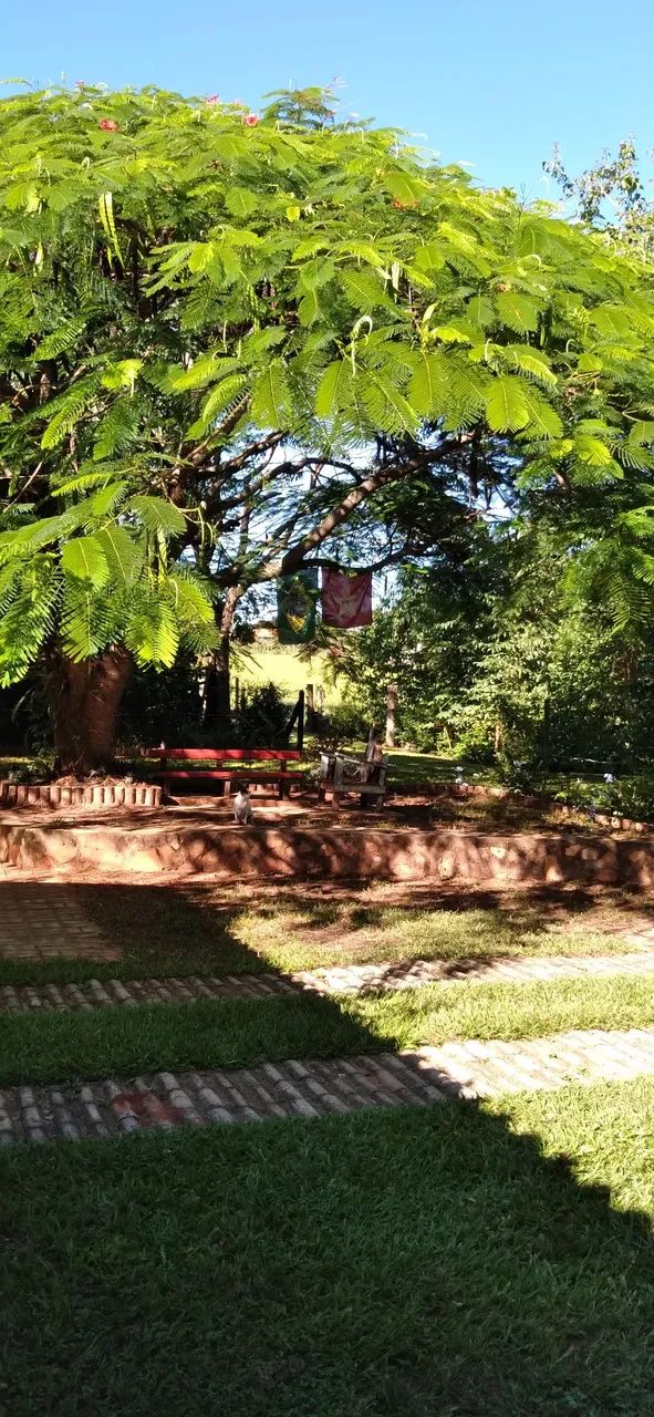 Linda Chácara um pedaço do Paraiso não perca a chance de ter um Paraíso particular. - Foto 6