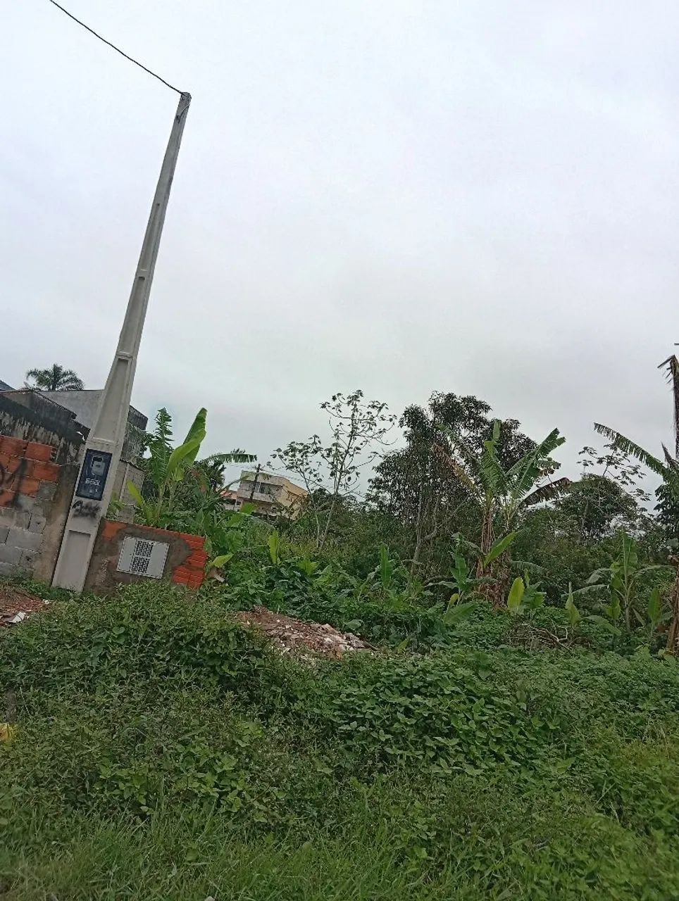 Terreno /Belas Artes  - Foto 3