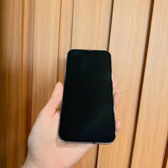 Vendo iPhone 13 Pro Max 256GB