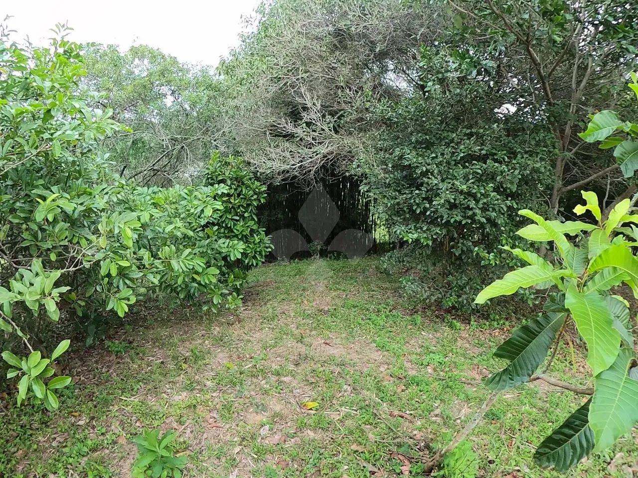 Terreno de 2700 m² à venda, Gamboa - Garopaba/SC - Foto 5
