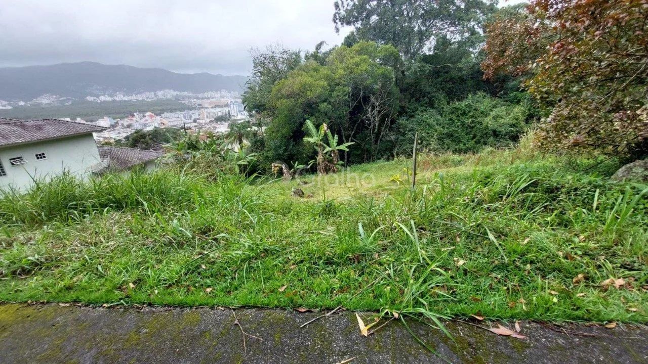 Terreno de 963m² na Trindade