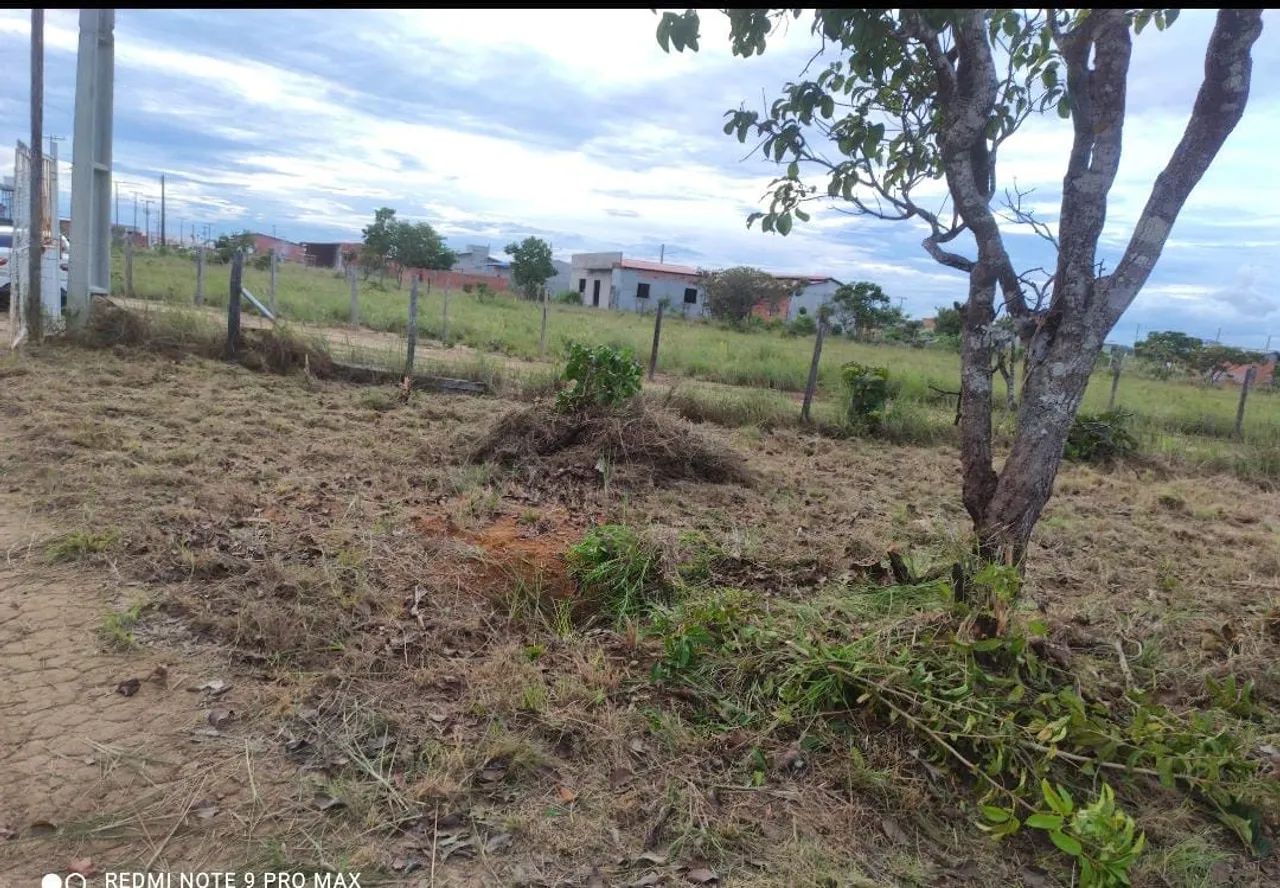 Terreno venda  - Foto 5