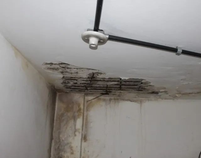 Reparo Infiltração em Lajes e Telhados - Engenheiro Civil - Foto 2