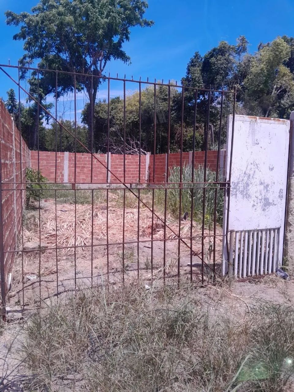 Foto - Rio de Janeiro - Campo Grande