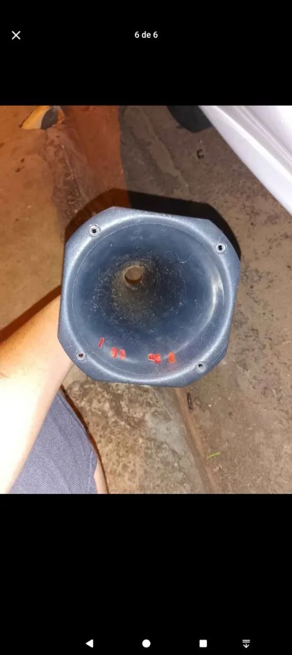 Cone de corneta longa  - Foto 2