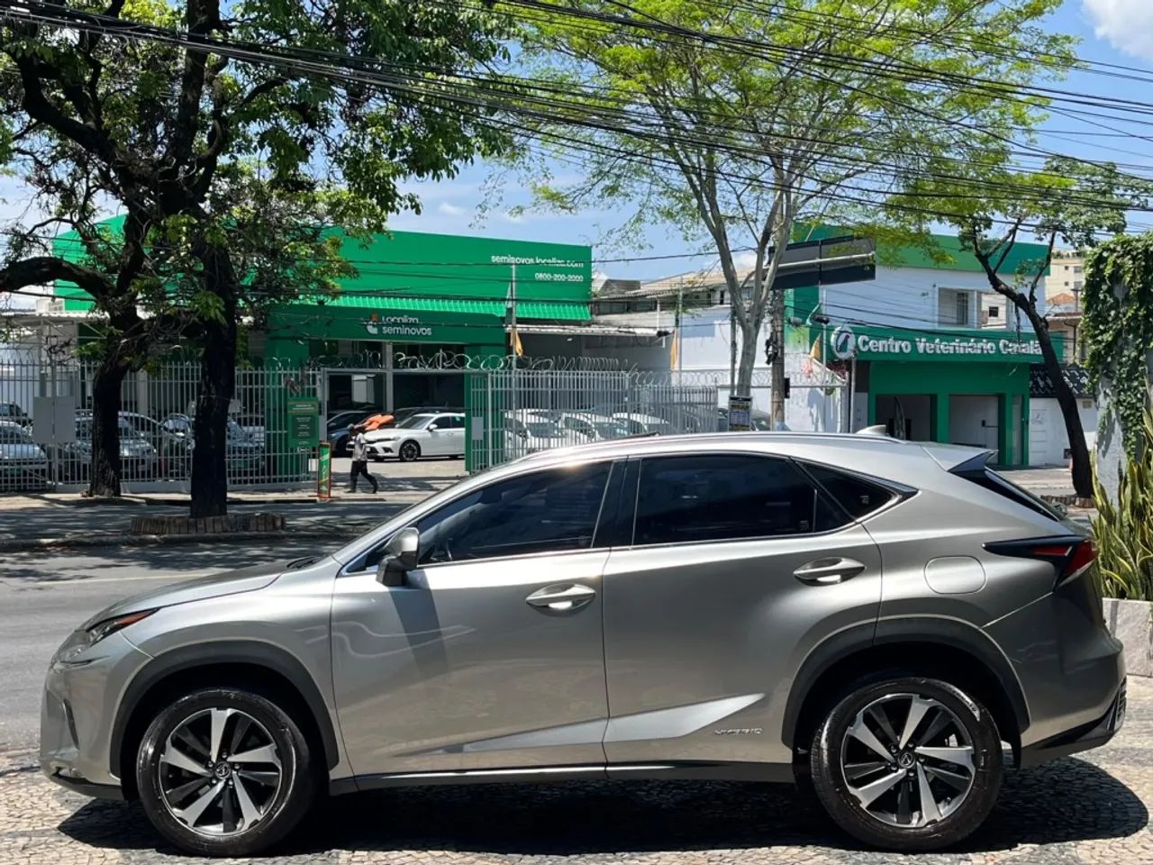 Lexus NX-300 H Luxury 2.5 16V Aut., foto 8 de 17