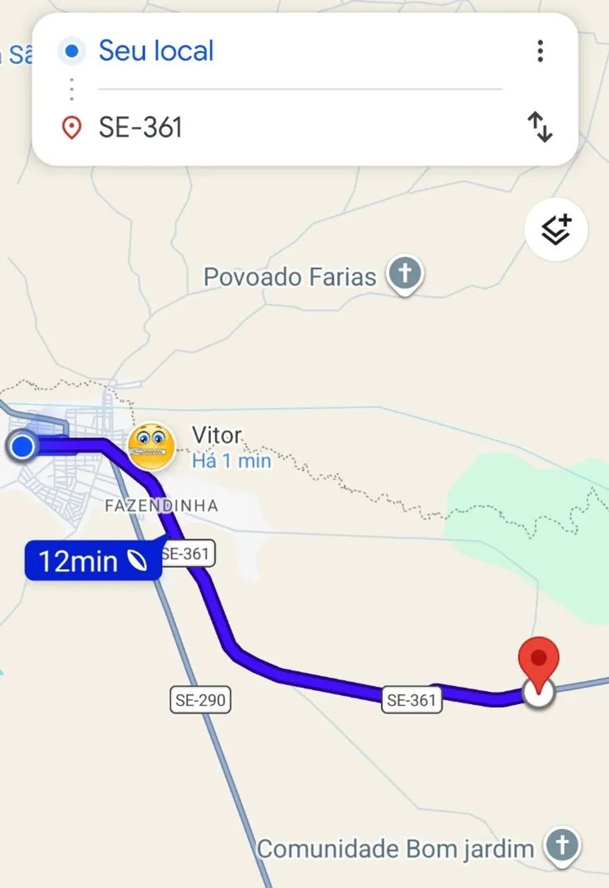 Alugo comida para colocar gado