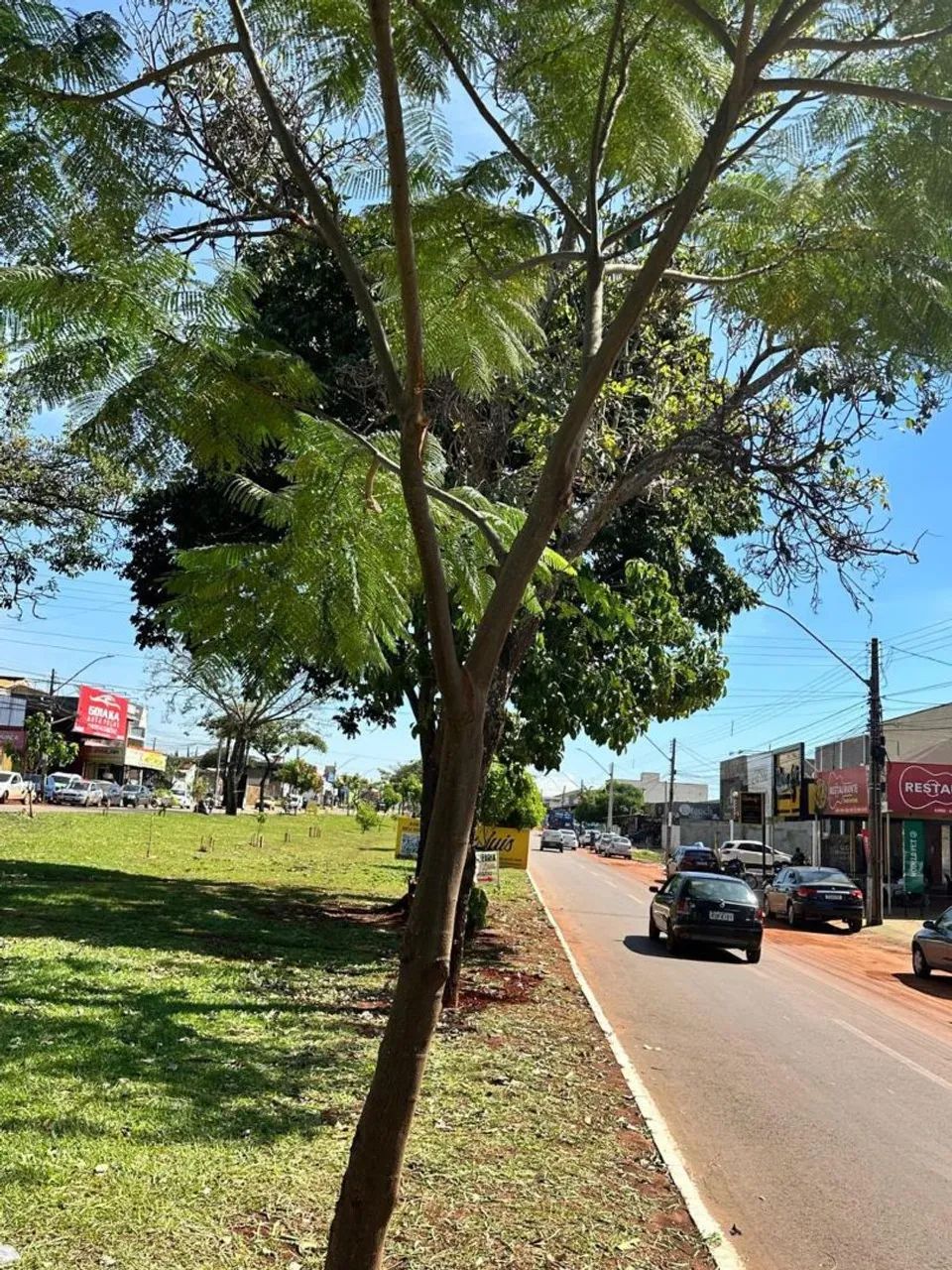 Alugo galpão comercial - Foto 4
