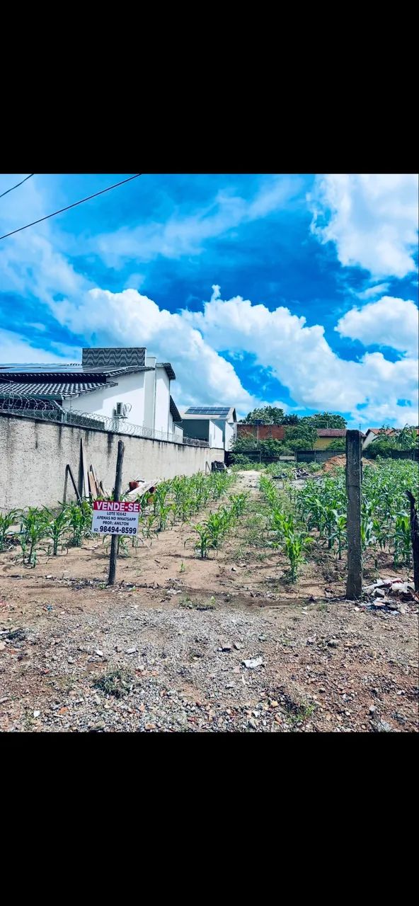 Foto - Goianésia - Carrilho
