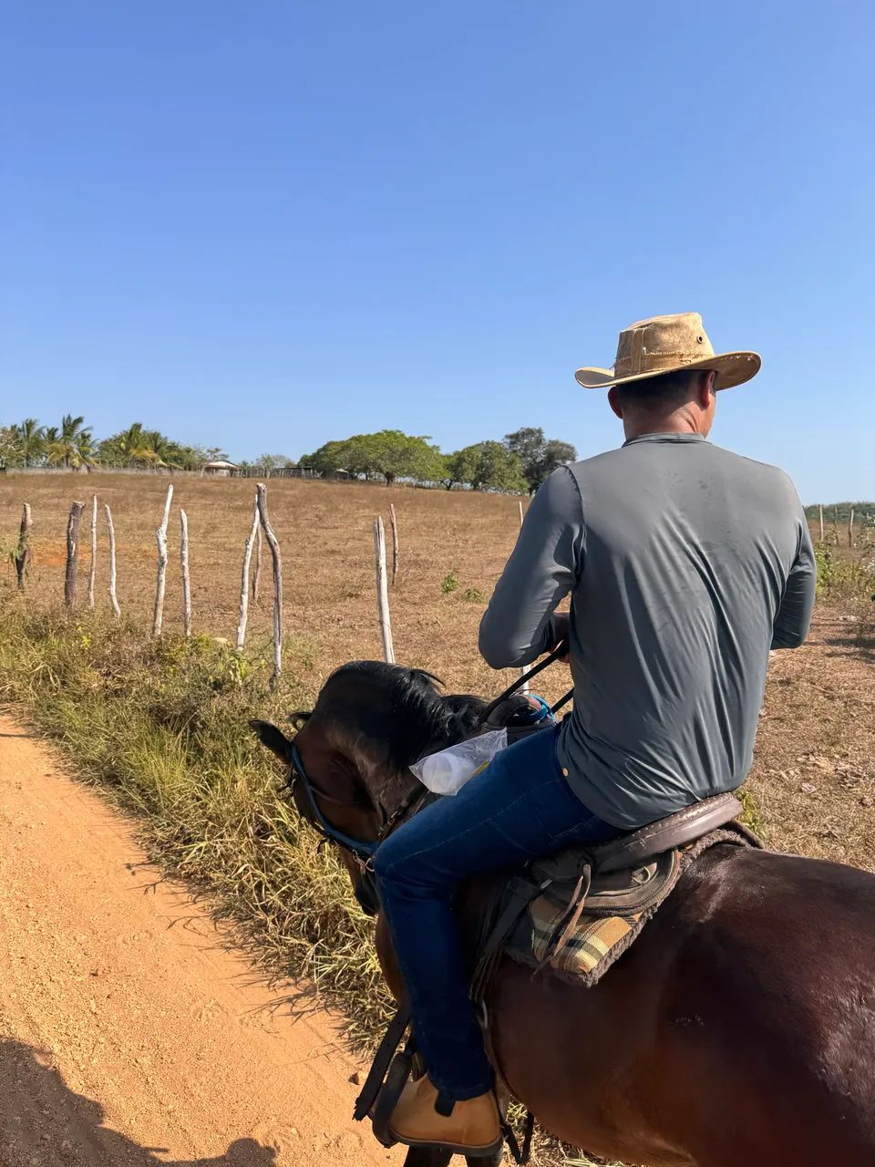 Cavalo Manga Larga  - Foto 2