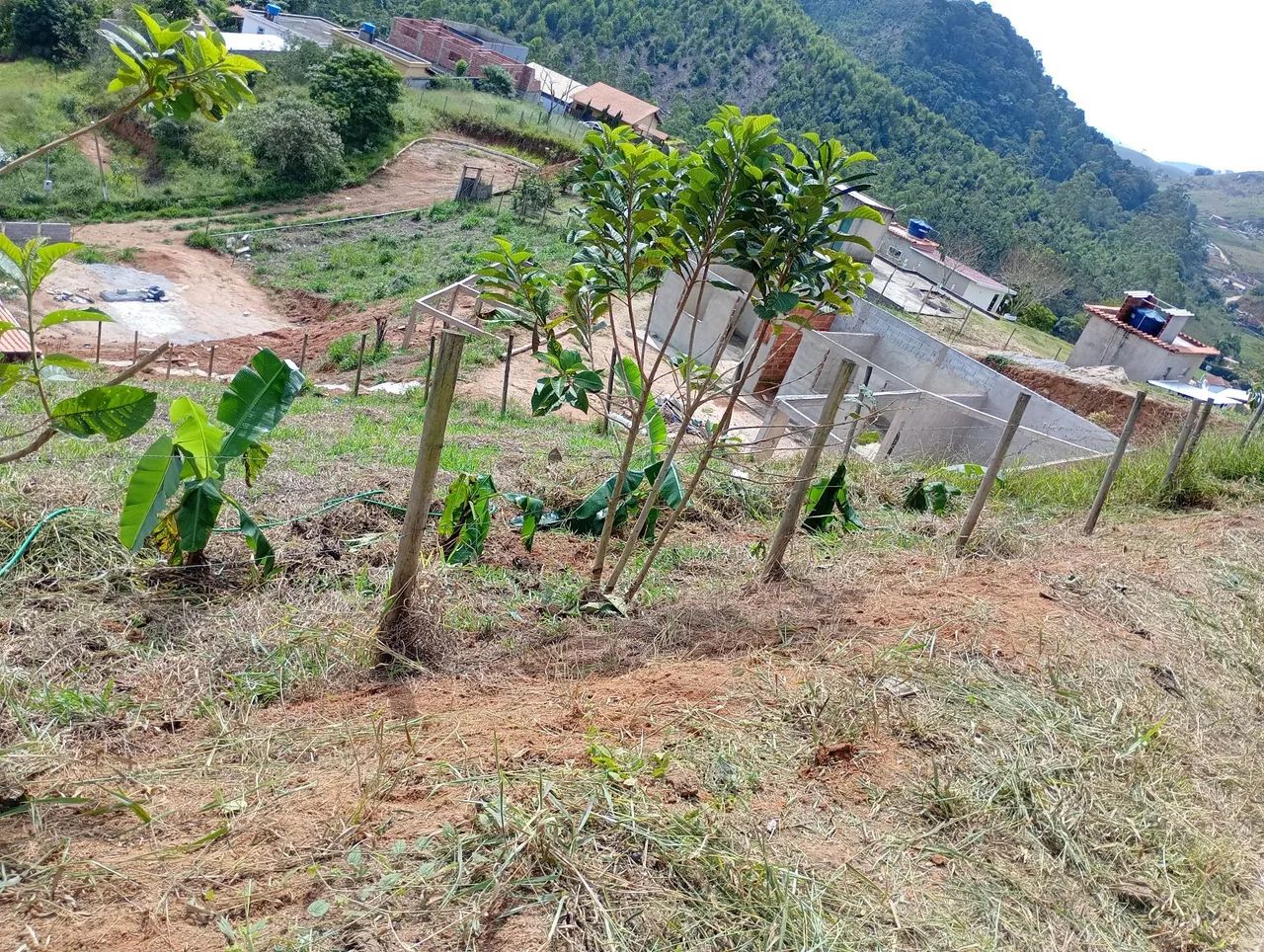 Granja em condomínio fechado - Foto 3