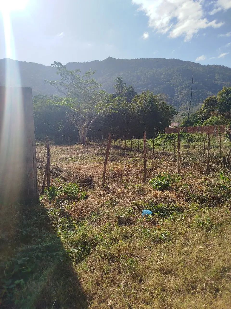 LOTE NA ÁREA CENTRAL DE PACATUBA - Foto 3