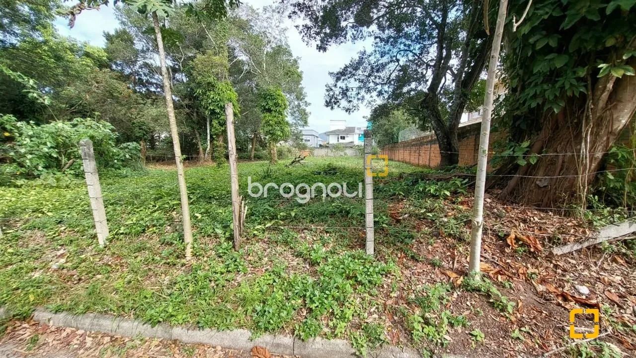 Terreno plano no Campeche central em Florianópolis SC