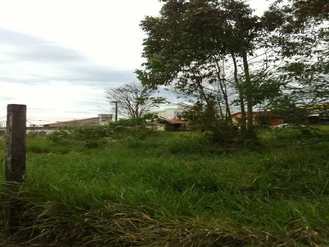 Terreno Terreno em Poá - Foto 5