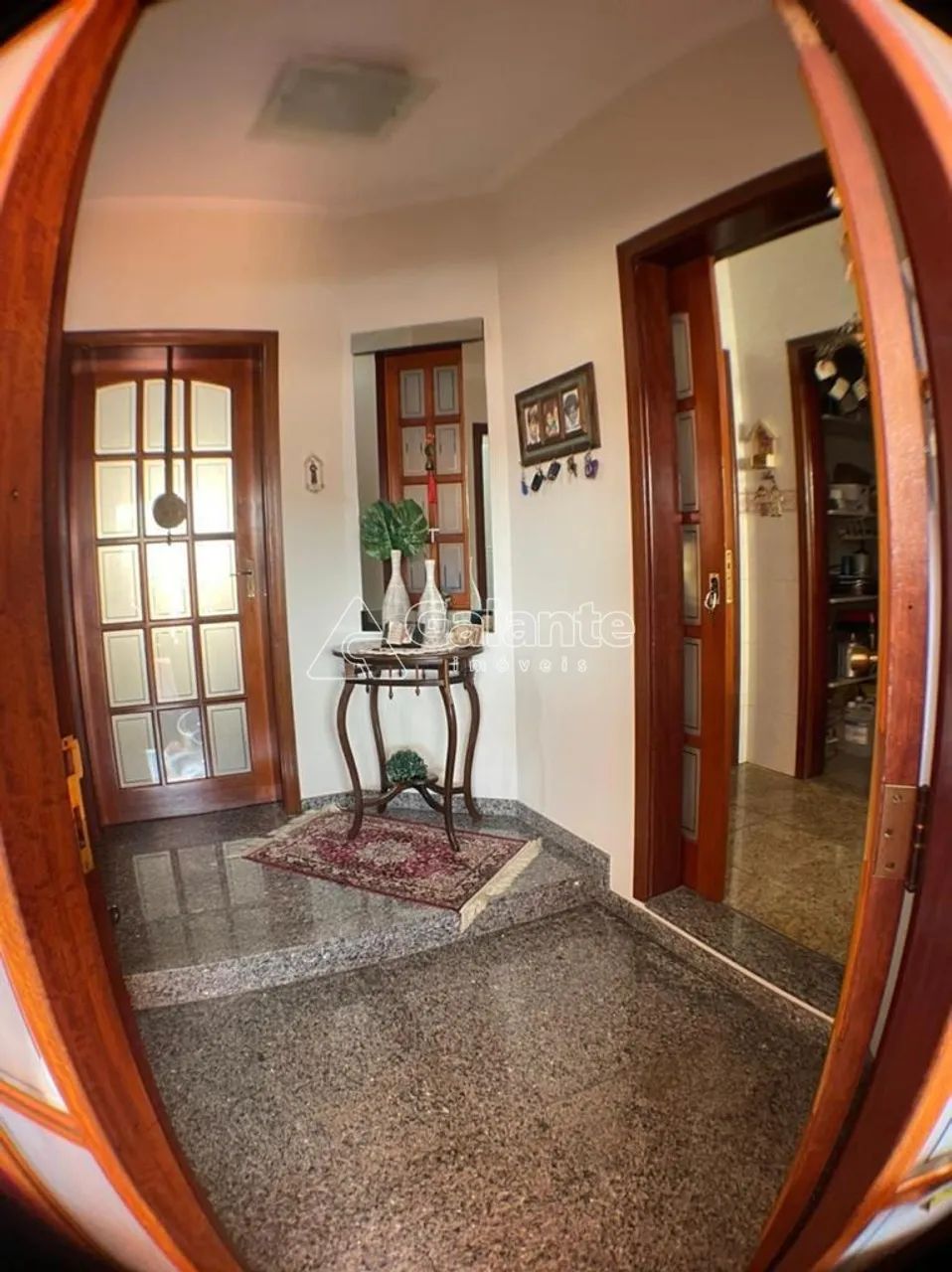casa - Nova Campinas - Campinas - Foto 2