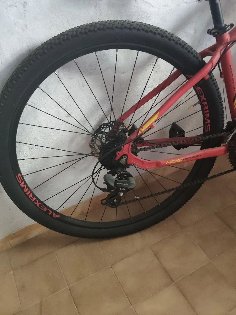 Bike Oggi  - Foto 5