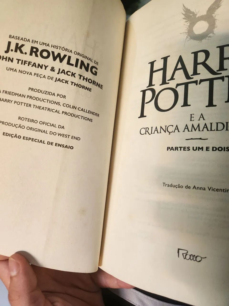 Livro "Criança Amaldiçoada" - Foto 4