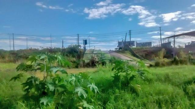 Terreno à venda em Atuba, Curitiba cod:152877 - Foto 14