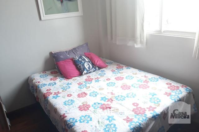 Apartamento à venda com 3 dormitórios em Salgado filho, Belo horizonte cod:249666 - Foto 13