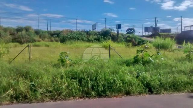 Terreno à venda em Atuba, Curitiba cod:152877