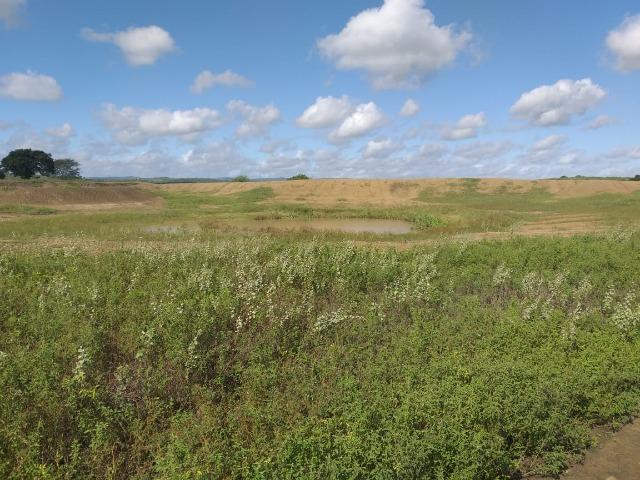 Propriedade de 8 hectares-toda cercada-com 2 casas, a 5 km de Apoti-PE - Foto 14