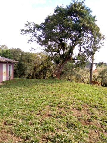 Chácara em São José dos Pinhais - Foto 6
