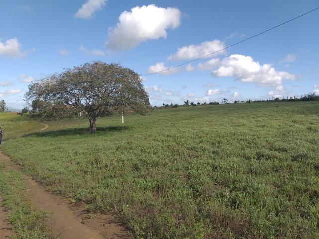 Propriedade de 8 hectares-toda cercada-com 2 casas, a 5 km de Apoti-PE - Foto 9