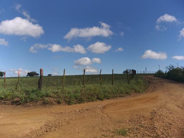 Propriedade de 8 hectares-toda cercada-com 2 casas, a 5 km de Apoti-PE - Foto 6