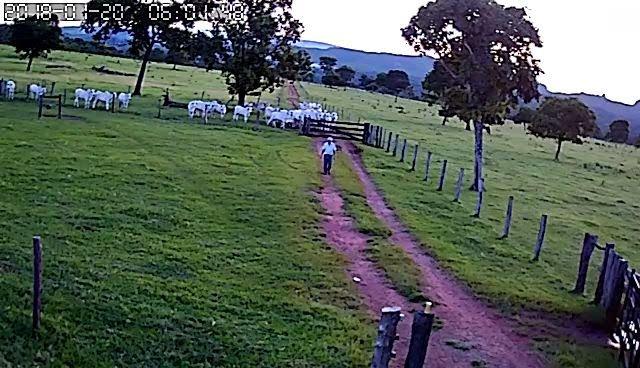 Fazenda em Guiratinga 680Hectares - Foto 13