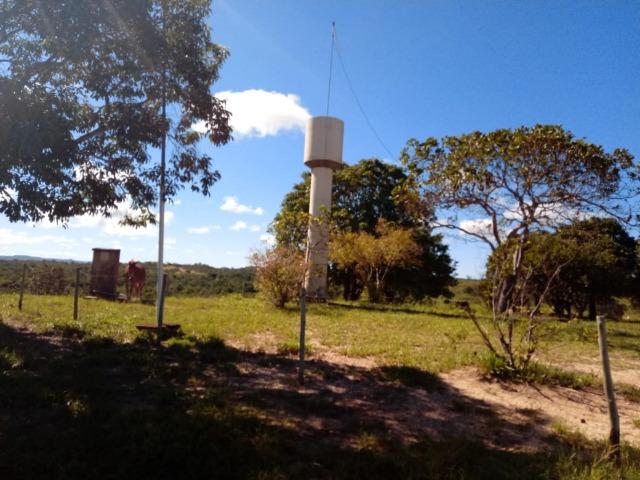 1586 Hectares, Municipio de Camapuã MS - Foto 7