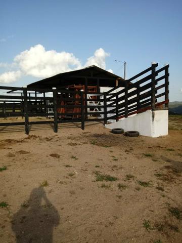 Vendo propriedade união dos Palmares - Foto 8