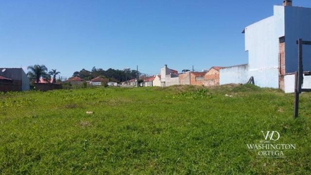 Terreno à venda, 2952 m² por r$ 2.300.000,00 - afonso pena - são josé dos pinhais/pr - Foto 2
