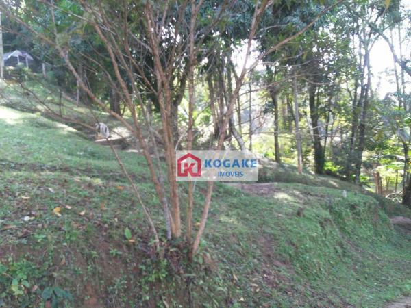 Sítio com 2 dormitórios à venda, 53766 m² por r$ 400.000 - parateí do meio - jacareí/sp - Foto 8