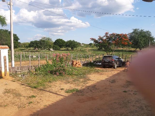 Vendo fazenda ou troco - Foto 9