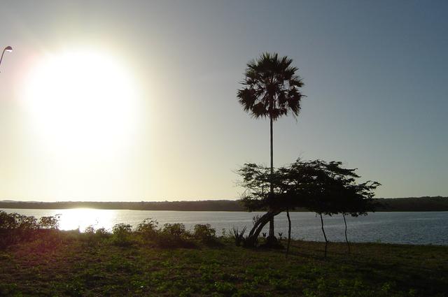 Terreno para investimento imobiliário na Lagoa do Portinho Parnaíba - Foto 7