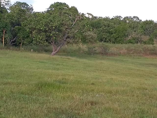 Terra Região de Chapada dos Guimarães - Foto 11