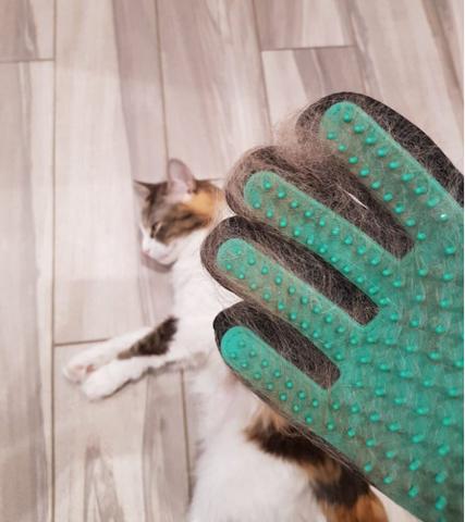 Luvas para cães e gatos - Foto 5