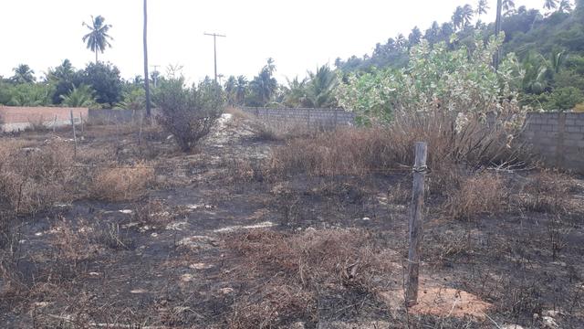 Vendo e troco terreno em lagoa do pau Coruripe - Foto 3