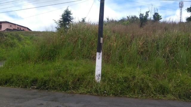 Vendo terreno na Av. Roberto Santos - Foto 3