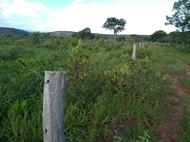 Terra Região de Chapada dos Guimarães - Foto 13