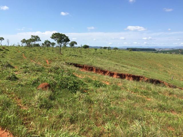 Fazenda em bambui 440 hectares 3.000.000.00 - Foto 6