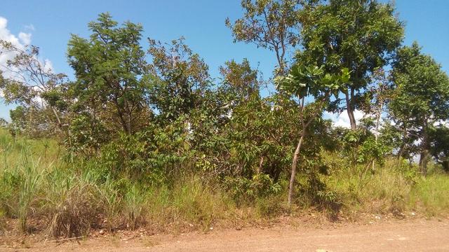 Oportunidade lotes no Portal das Águas Quentes II - Foto 4