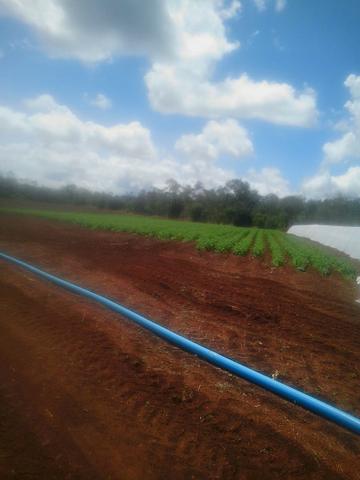 Fazenda na chapada diamantina - Foto 6