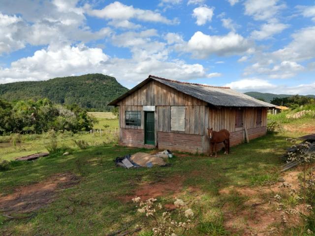 Chácara 5.000 m² - lomba grande - novo hamburgo - rs - Foto 6
