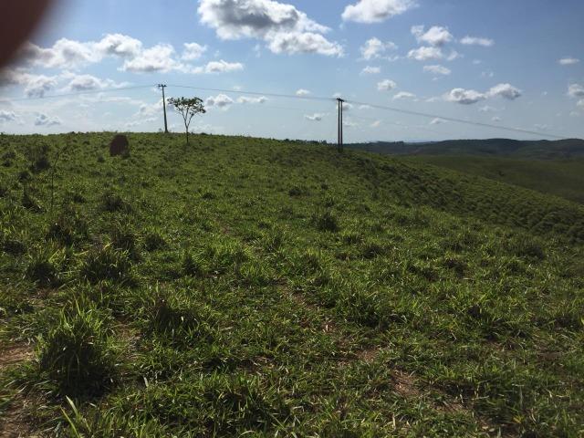 Fazenda em bambui 440 hectares 3.000.000.00 - Foto 7