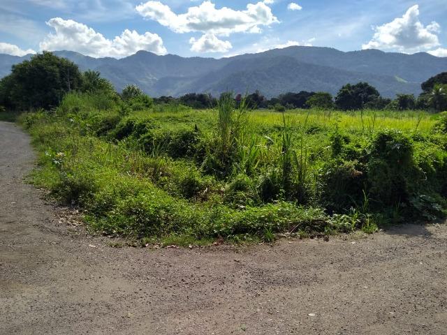 Terrenos com 1600 e 2100 m² plano - Documentado - Santa Cândida - Itaguaí - Foto 3